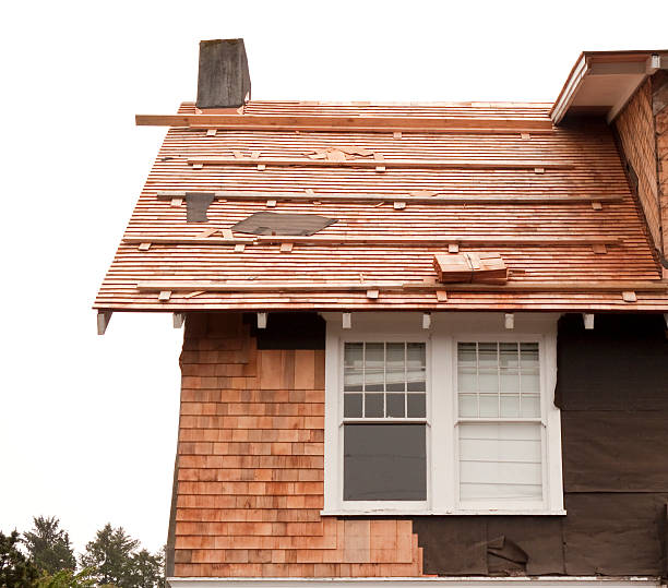 Affordable Siding Repair and Maintenance Services in Palo, IA